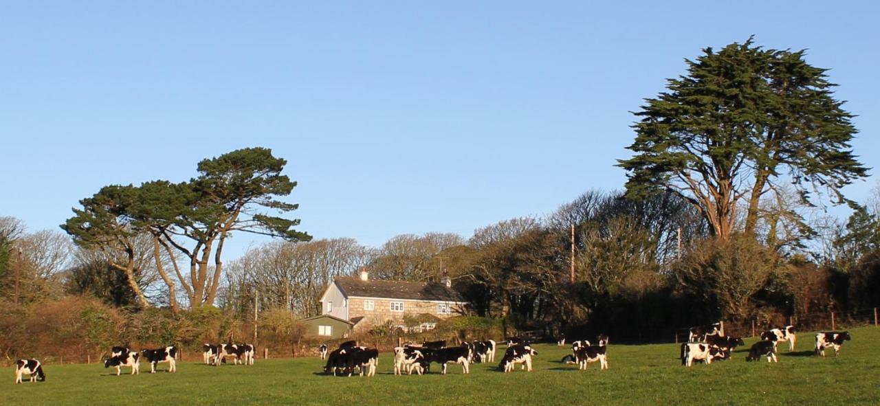 Coombe Farmhouse Bed & Breakfast St Ives  Exterior photo